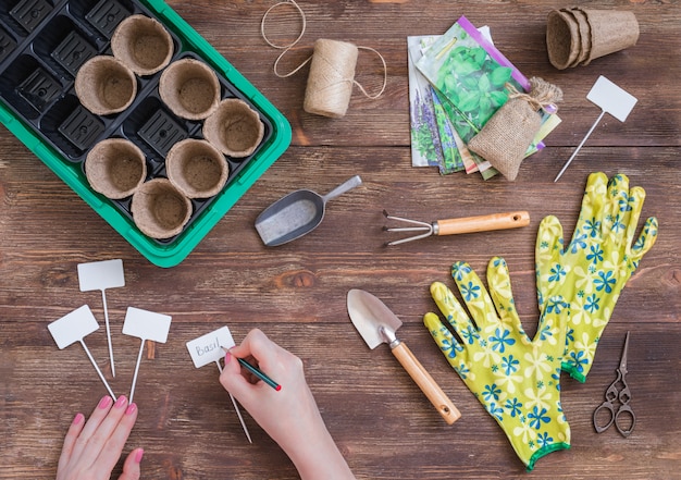 Étapes de la plantation des graines, de la préparation, des mains de femme écrivant les noms des plantes, des outils et des ustensiles de jardinier