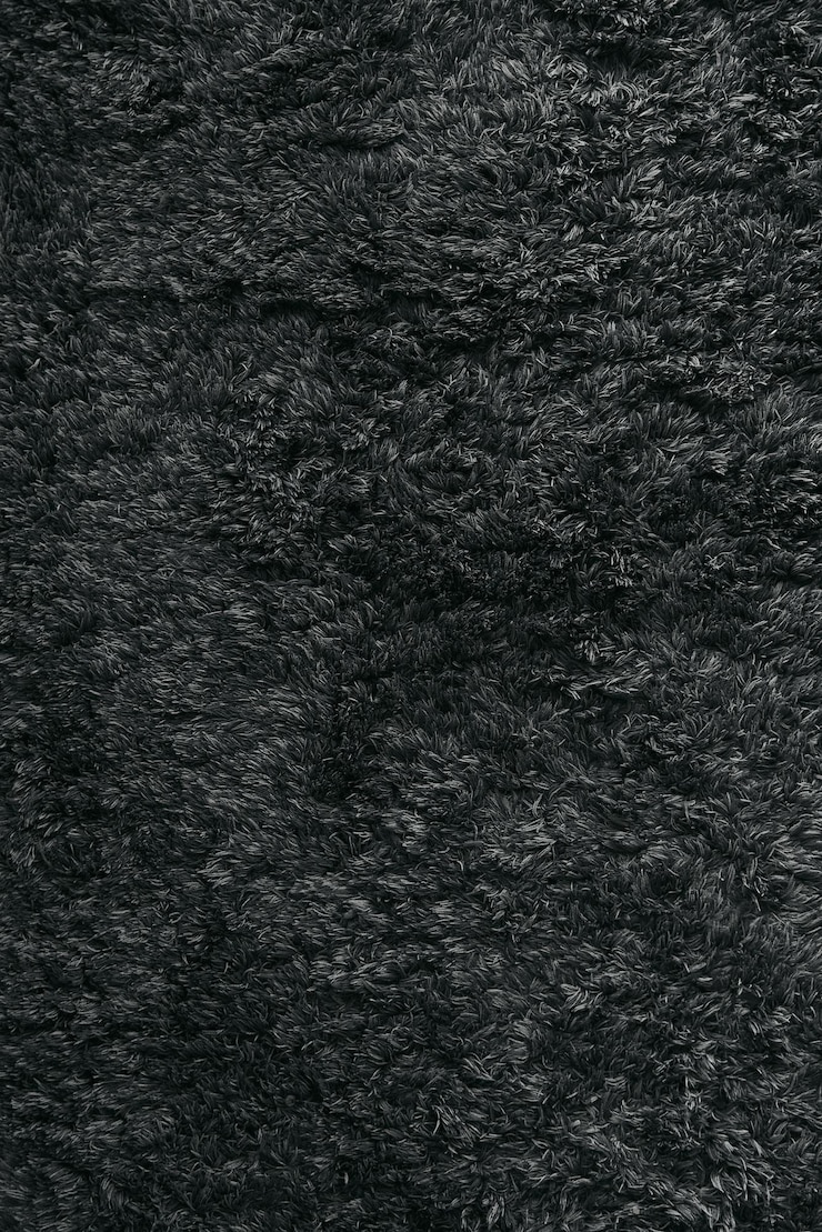 Photo tapis noir au sol tapis à poils longs pour usage intérieur tapis foncé en laine synthétique