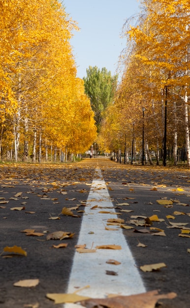 Photo tapis roulant dans le parc en automne