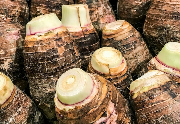 Taro pile sur le marché