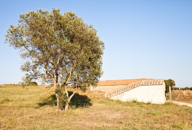 Tarquinia, Italie. Il s'agit de l'entrée d'une tombe étrusque (vers 470 av. J.-C.) Par un étroit couloir menant au rez-de-chaussée, on accède à la sépulture rectangulaire.