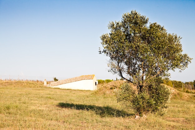 Tarquinia, Italie. Il s'agit de l'entrée d'une tombe étrusque (vers 470 av. J.-C.) Par un étroit couloir menant au rez-de-chaussée, on accède à la sépulture rectangulaire.