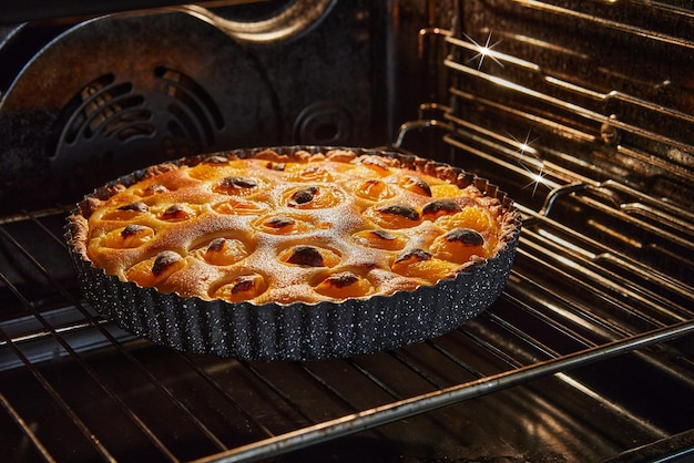 Tarte aux abricots cuite dans un four électrique cuisine gourmande française