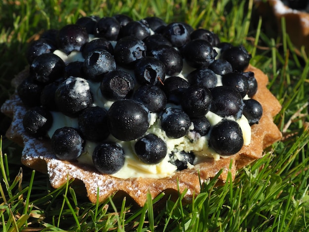 Une tarte aux myrtilles est posée sur l'herbe.