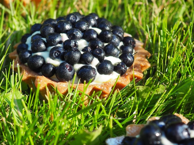 Une tarte aux myrtilles avec des myrtilles est assise dans l'herbe.