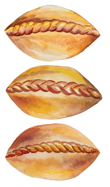 Tartes russes ou ukrainiennes illustration aquarelle isolée produits de boulangerie