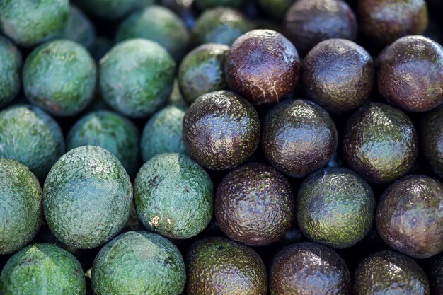 Tas d'avocat à vendre sur le marché Fruit background Close up