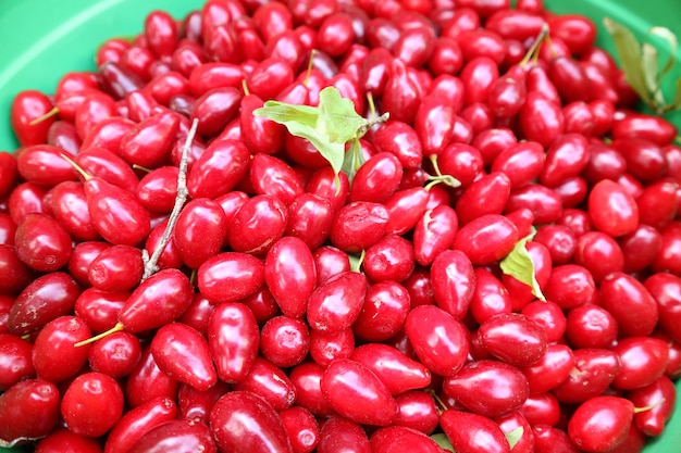 Tas de baies de Goji fraîches rouges vibrantes à vendre sur le marché
