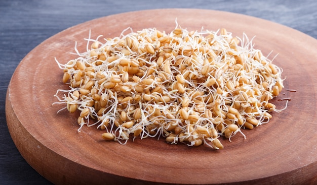 Tas De Blé Germé Sur Une Planche En Bois Brune, Se Bouchent.