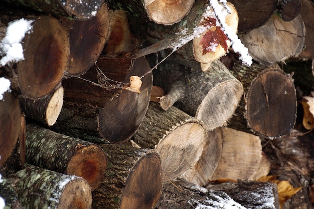 Tas de bois Bois recouvert de première neige