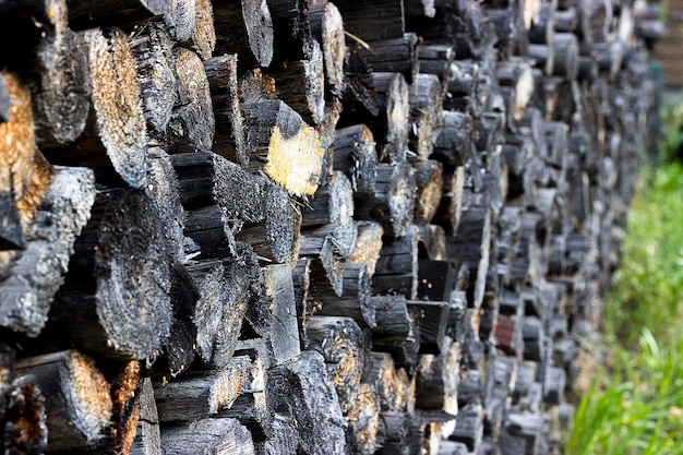 Photo un tas de bois de chauffage abattu par une journée ensoleillée