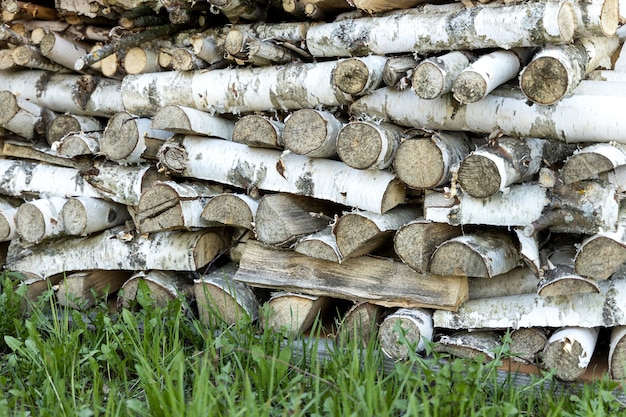 Tas de bois de chauffage de bouleau allongé sur une herbe verte