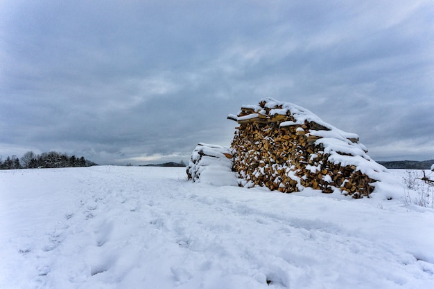 Tas de bois de chauffage sur un champ neigeux