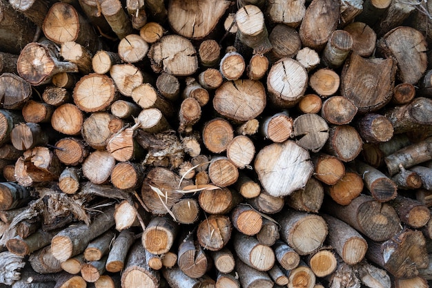 Tas de bois empilé de façon ordonnée