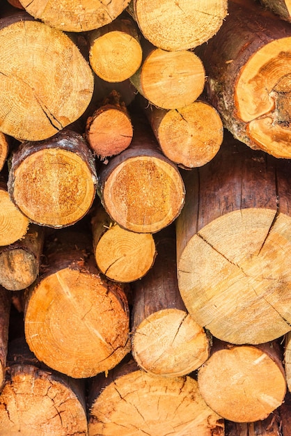 Tas de bois formant un mur. Problèmes d'écologie et de déforestation dans la nature.