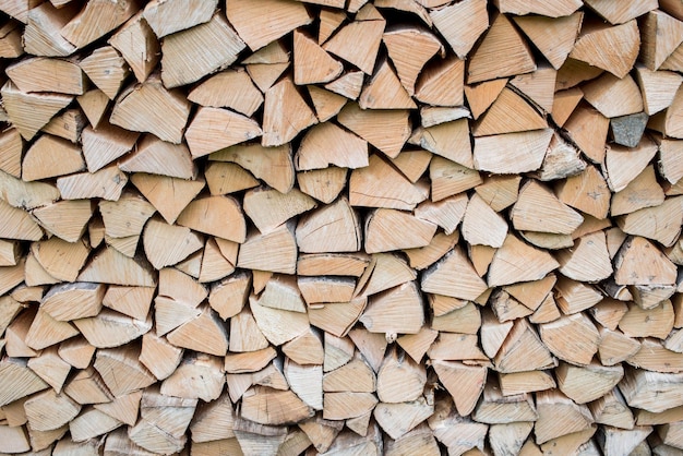 Tas de bois formant un mur. Problèmes d'écologie et de déforestation dans la nature.