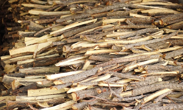 Le tas de branches est utilisé comme combustible pour la cuisine