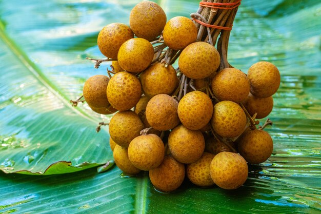 Un tas de branches de longane sur fond de feuille de bananier vert. Vitamines, fruits, aliments sains