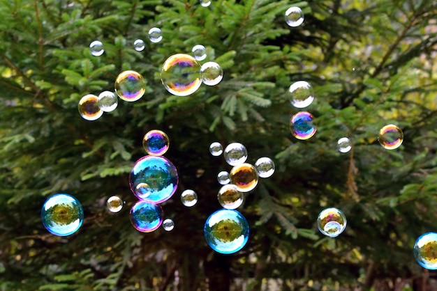 Un tas de bulles de savon flottant dans l'air