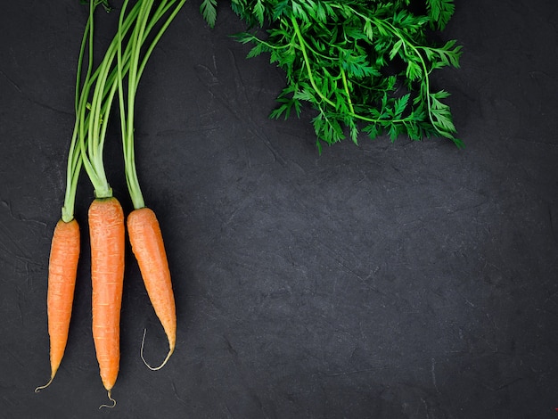 Un tas de carottes biologiques fraîches sur fond noir. Photo de haute qualité