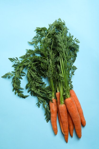 Tas de carottes fraîches sur fond bleu