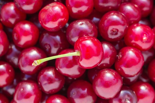 Tas de cerises fond de fruits frais