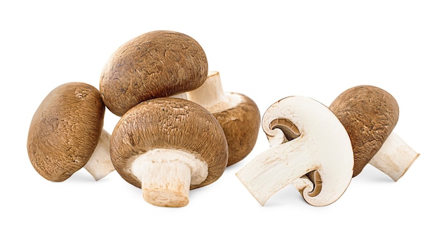 Tas de champignon sur fond isolé blanc