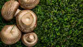 Photo un tas de champignons bruns sur l'herbe