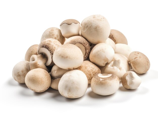 Un tas de champignons sur un fond blanc