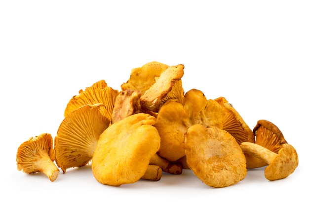 Un tas de chanterelles sur fond blanc