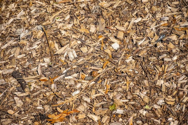 Un tas de chips est dans le jardin.