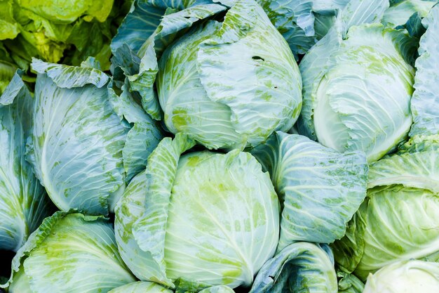 Photo tas de chou frais au marché fermier local.