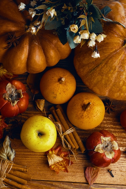 Un tas de citrouilles et de pommes.