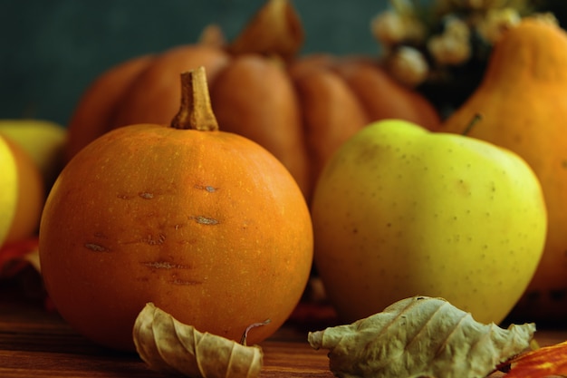 Un tas de citrouilles et de pommes.