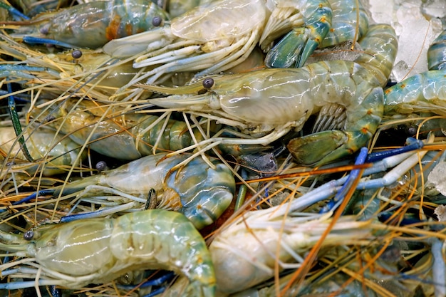 Tas de crevettes de rivière sur glace se vendant sur le marché