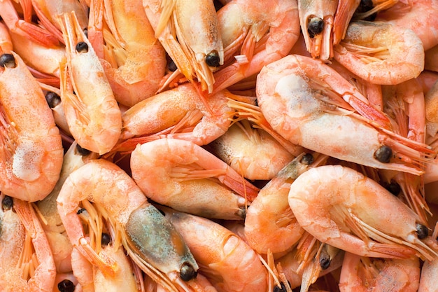 Tas de crevettes