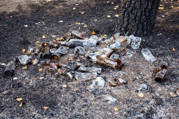 Tas de déchets brûlés sous l'arbre agrandi avec mise au point sélective