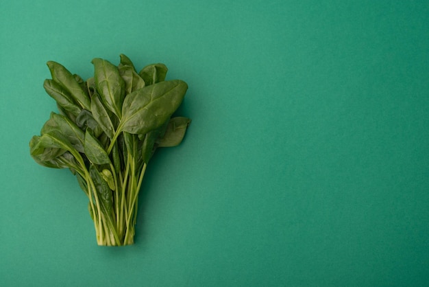 Un tas d'épinards verts sur fond vert