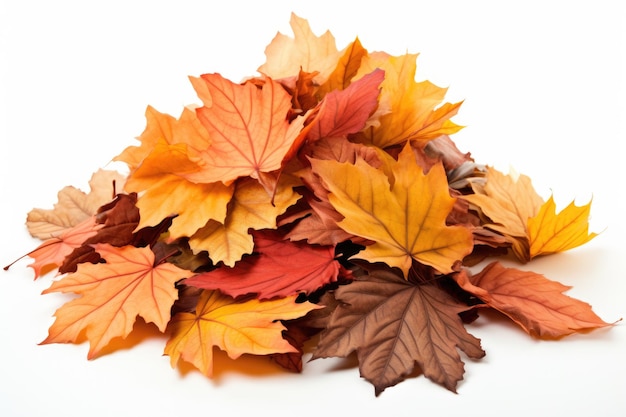 tas de feuilles d'automne isolé sur fond blanc