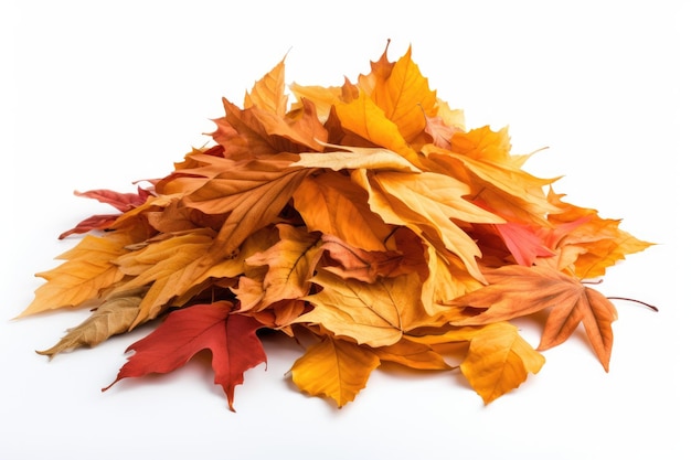 tas de feuilles d'automne isolé sur fond blanc