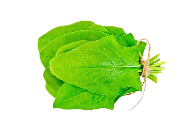 Tas de feuilles d'épinards verts isolés sur blanc