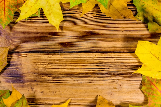 Photo tas des feuilles d'érable jaunes sur une table en bois. vue de dessus