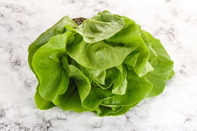 Tas de feuilles de salade pour collation