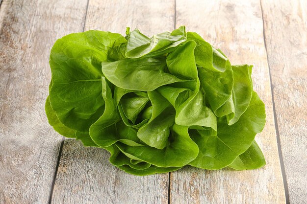 Tas de feuilles de salade pour collation