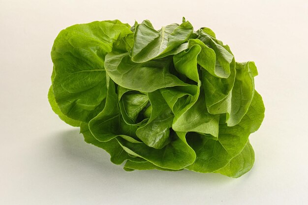 Tas de feuilles de salade pour collation