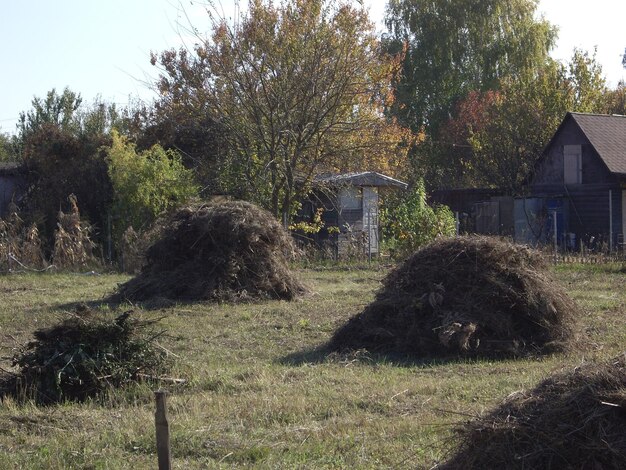 Photo un tas de foin dans le village et le jardin