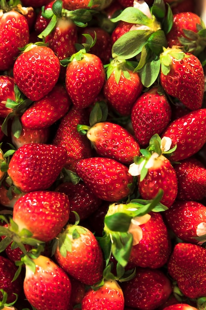 Photo tas de fraises rouge vue de dessus