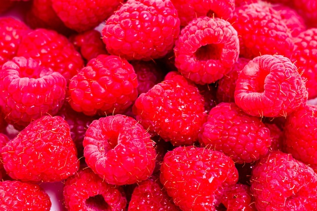 Tas de framboises biologiques sur fond blanc.