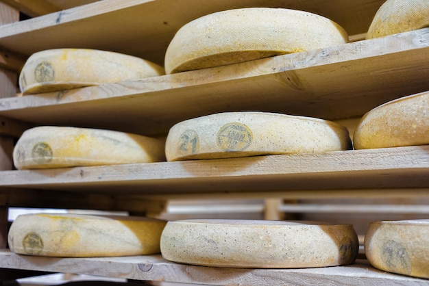 Tas de fromage vieillissant sur des étagères en bois dans la cave d'affinage de la laiterie Franche Comté en France