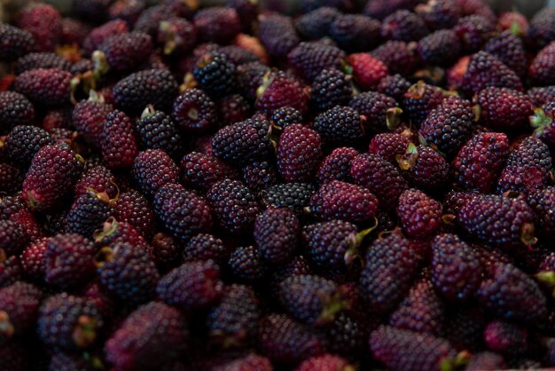 Un tas de fruits de mûrier violet et rose